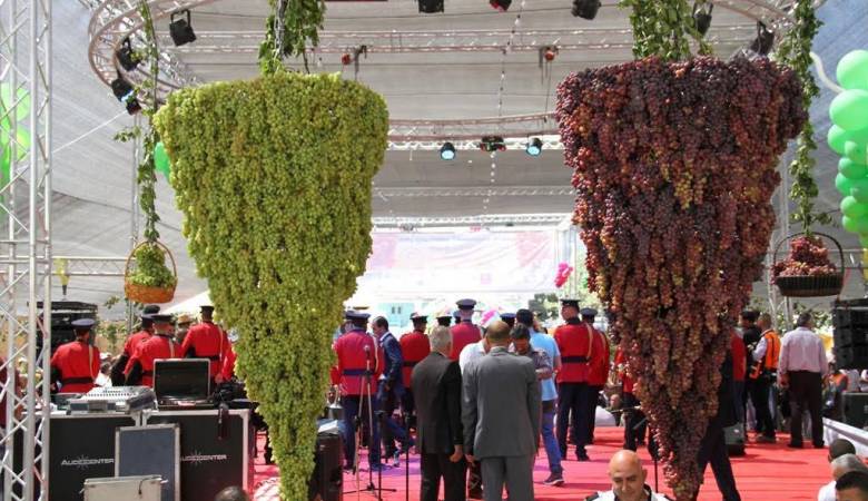 للعام السادس.. مهرجان العنب الخليلي عرس وطني اقتصادي
